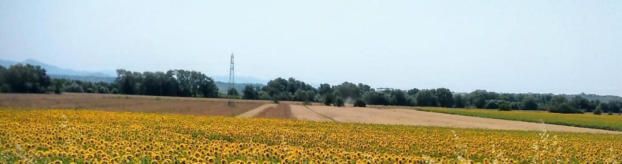 Splendido Ampio Appartamento A Montepulciano Stazione Kültér fotó