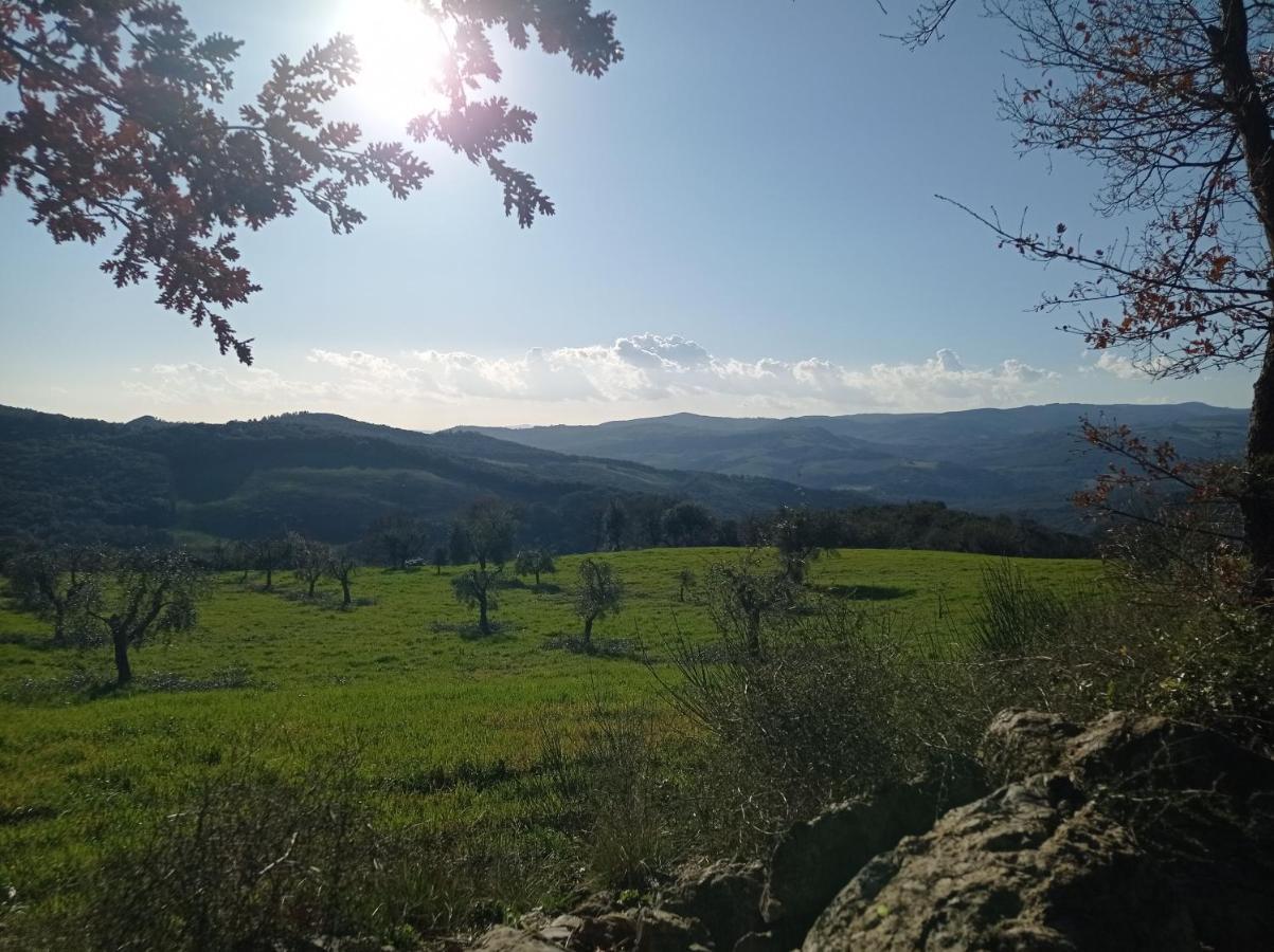 Splendido Ampio Appartamento A Montepulciano Stazione Kültér fotó