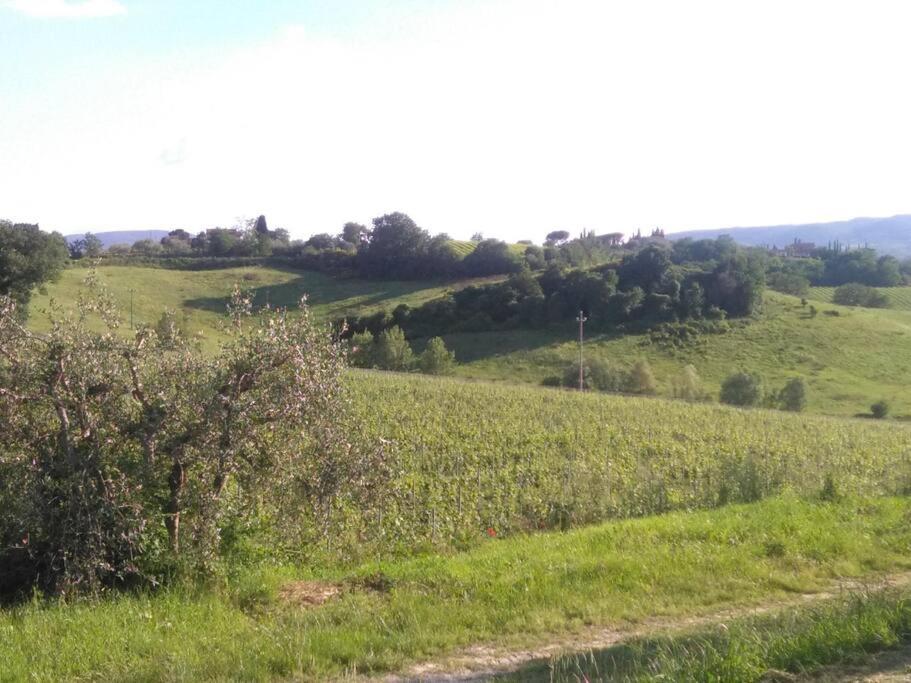 Splendido Ampio Appartamento A Montepulciano Stazione Kültér fotó
