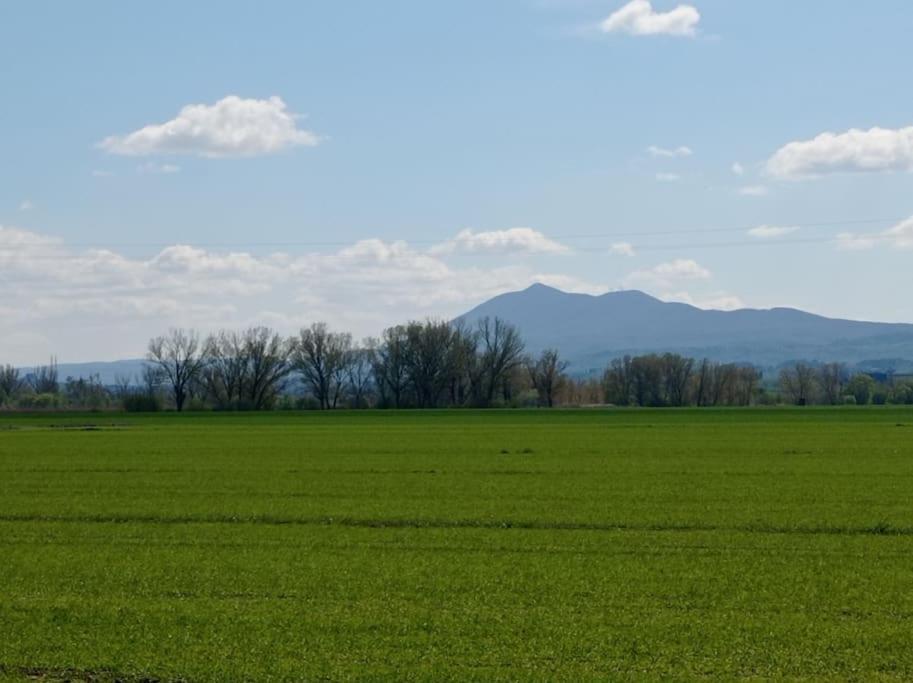Splendido Ampio Appartamento A Montepulciano Stazione Kültér fotó