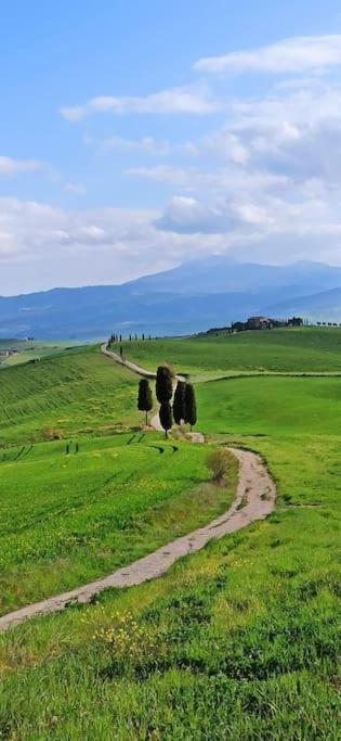 Splendido Ampio Appartamento A Montepulciano Stazione Kültér fotó